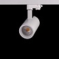 ART-FOCUS88 LED светильник трековый с регулируемым углом   -  Трековые светильники 